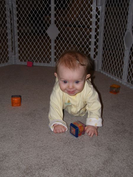 Gratuitous cuteness shot
