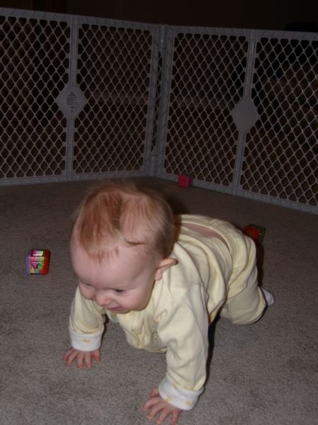 Gratuitous cuteness shot
