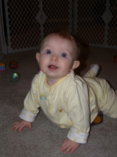 Gratuitous cuteness shot
