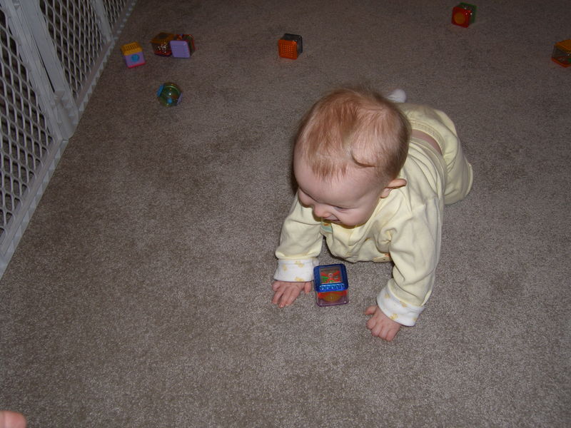 Gratuitous cuteness shot
