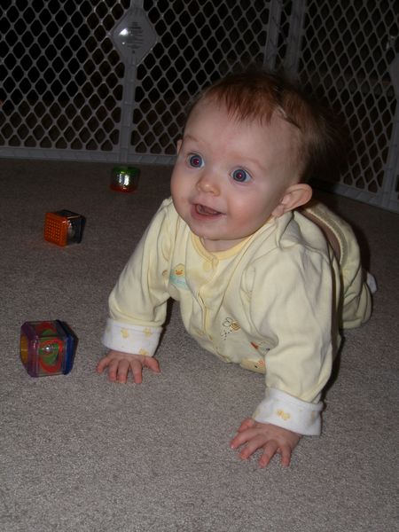Gratuitous cuteness shot
