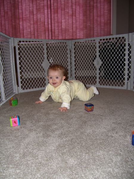 Gratuitous cuteness shot

