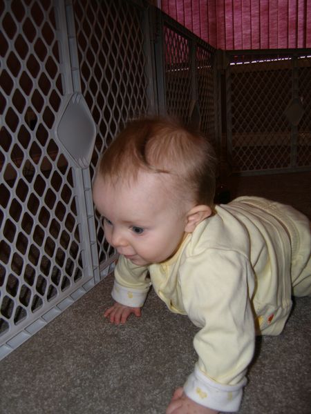 Gratuitous cuteness shot

