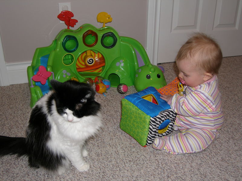 Maddi being observed by Deva
