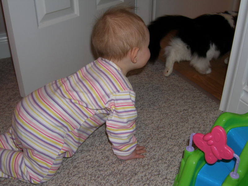 Come back here kitty!
