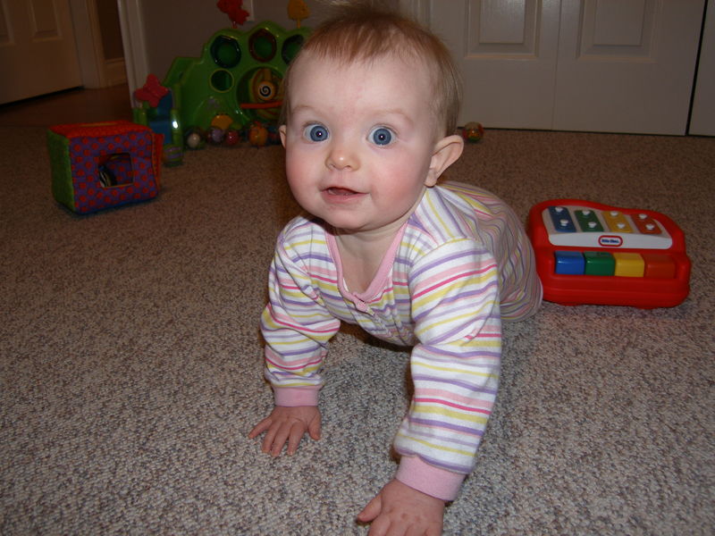 Gratuitous cuteness shot
