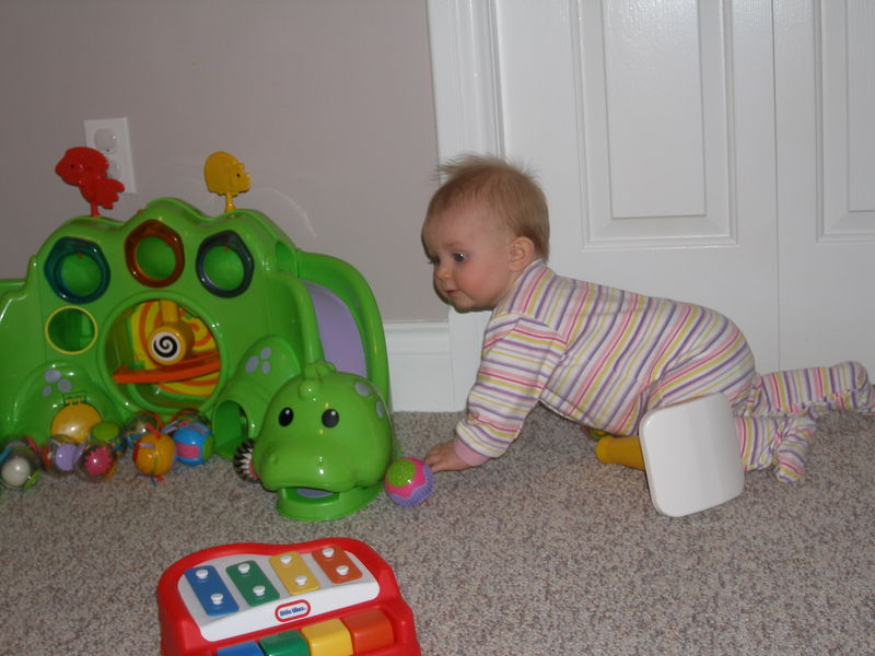 Gratuitous cuteness shot
