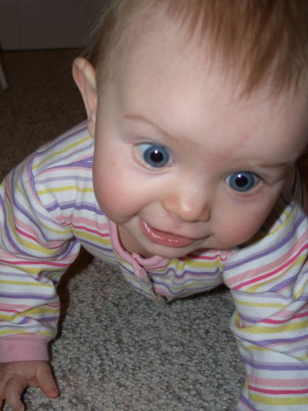 Gratuitous cuteness shot

