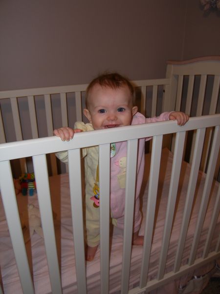 Gratuitous cuteness shot
