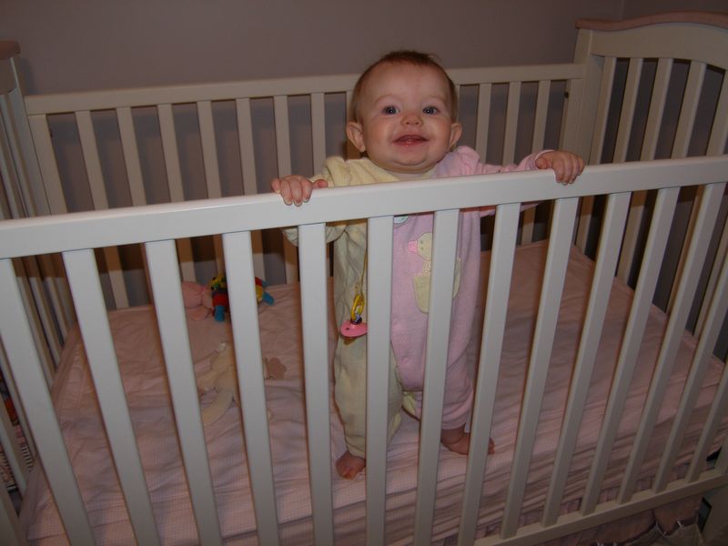 Gratuitous cuteness shot
