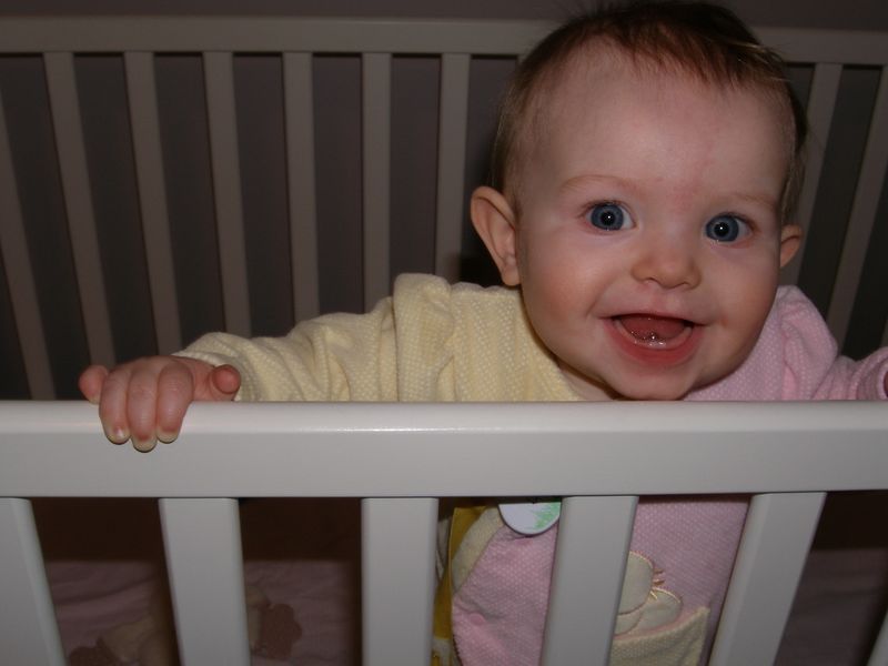 Gratuitous cuteness shot
