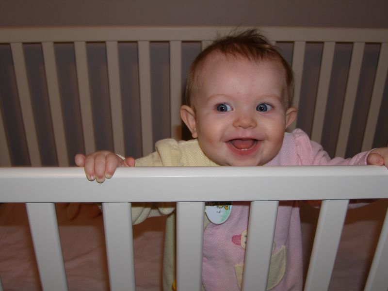 Gratuitous cuteness shot
