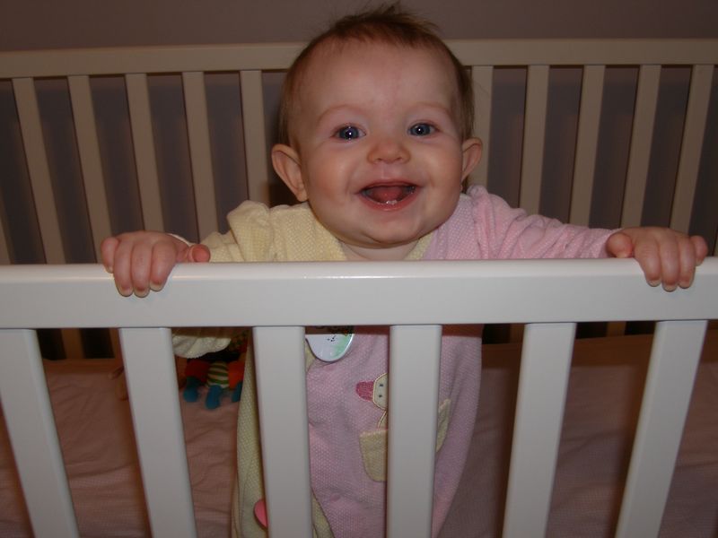 Gratuitous cuteness shot

