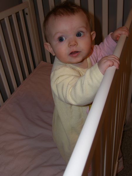 Gratuitous cuteness shot
