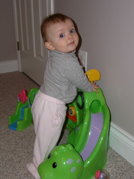 Gratuitous cuteness shot
