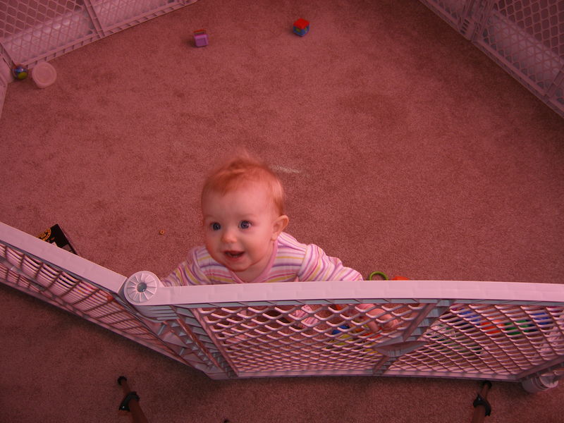 Gratuitous cuteness shot
