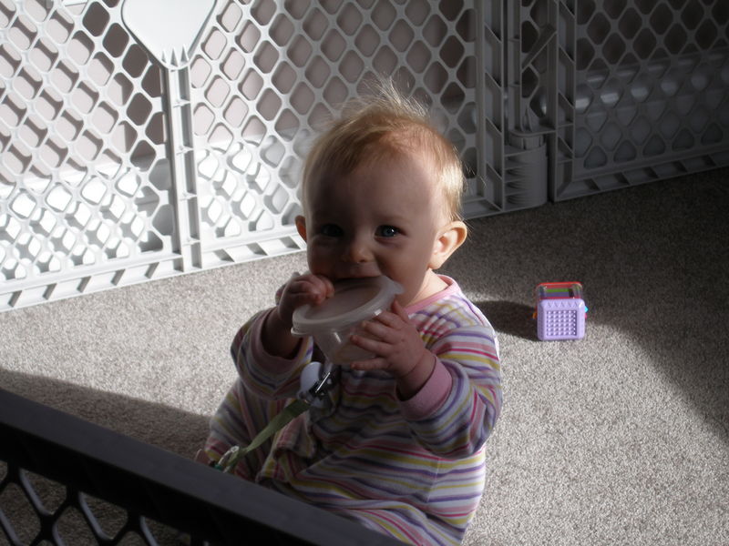 Gratuitous cuteness shot
