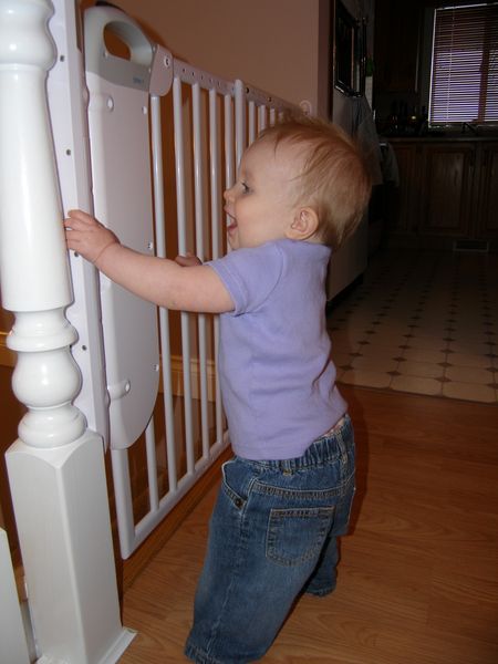 Maybe if I pull and tug I can get this gate open
