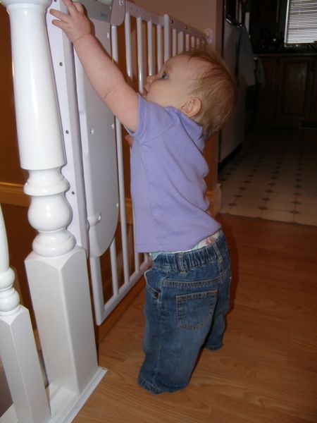 I see Mommy & Daddy use the handle, if only I could reach it
