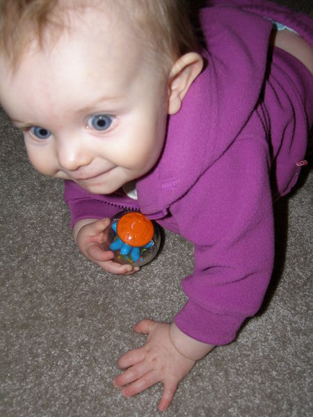 Gratuitous cuteness shot
