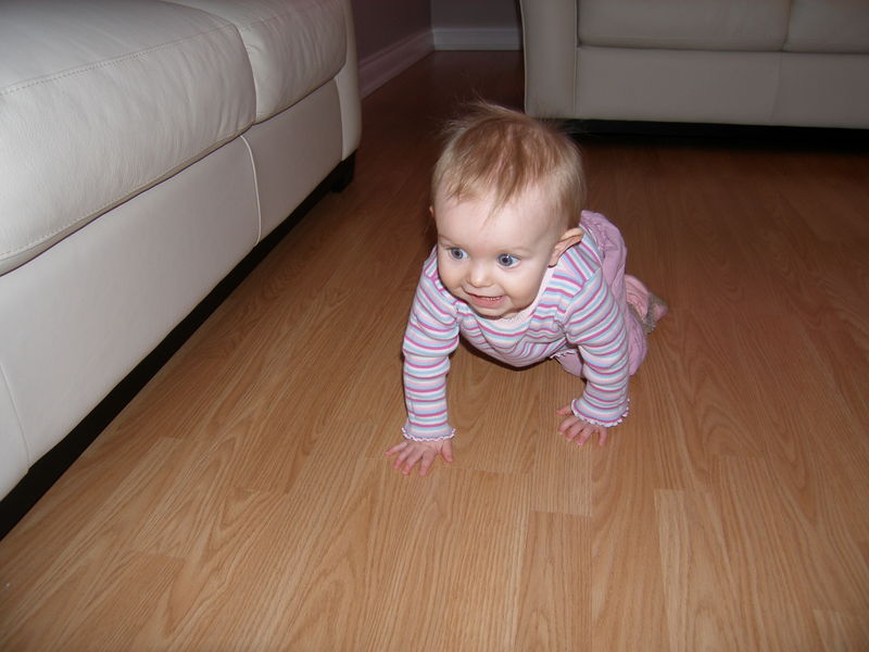 Gratuitous cuteness shot
