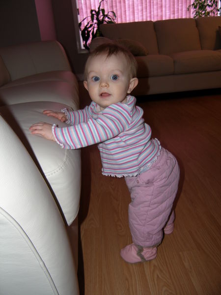 Gratuitous cuteness shot
