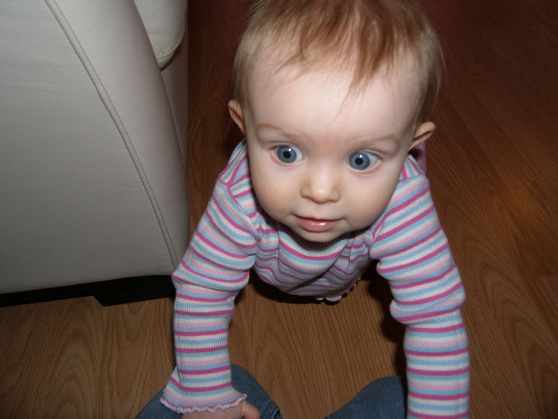 Gratuitous cuteness shot

