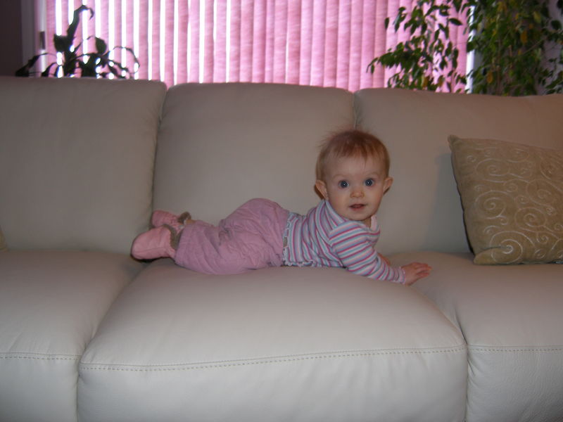 Gratuitous cuteness shot
