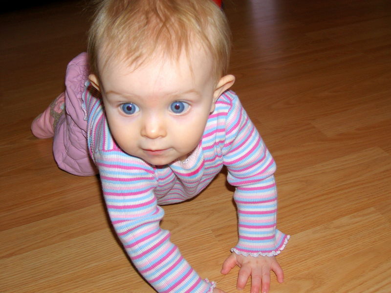 Gratuitous cuteness shot
