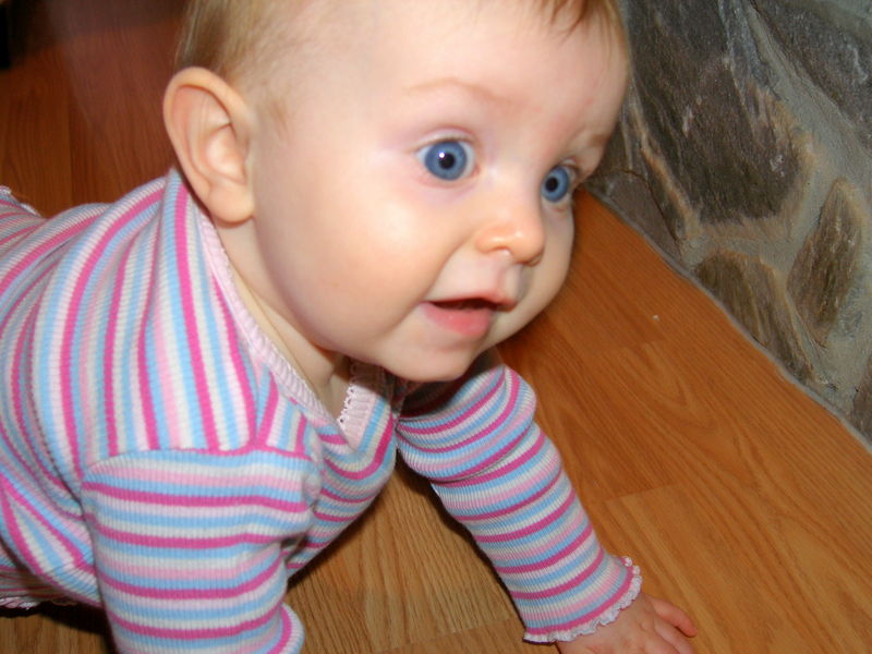 Gratuitous cuteness shot
