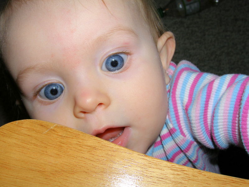 Gratuitous cuteness shot
