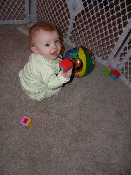 Gratuitous cuteness shot
