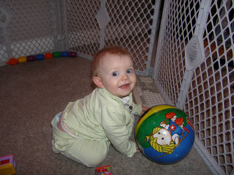 Gratuitous cuteness shot
