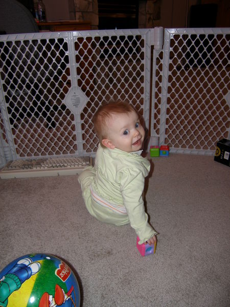 Gratuitous cuteness shot
