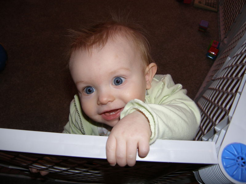 Gratuitous cuteness shot
