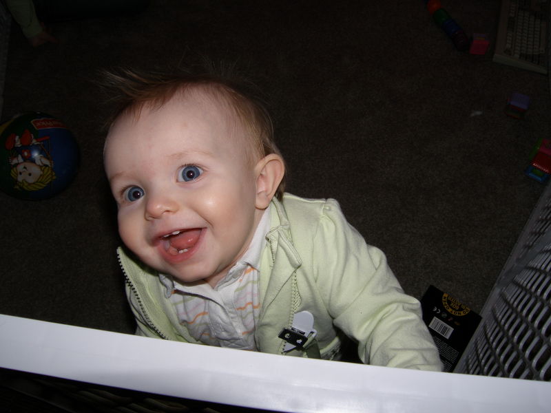 Gratuitous cuteness shot
