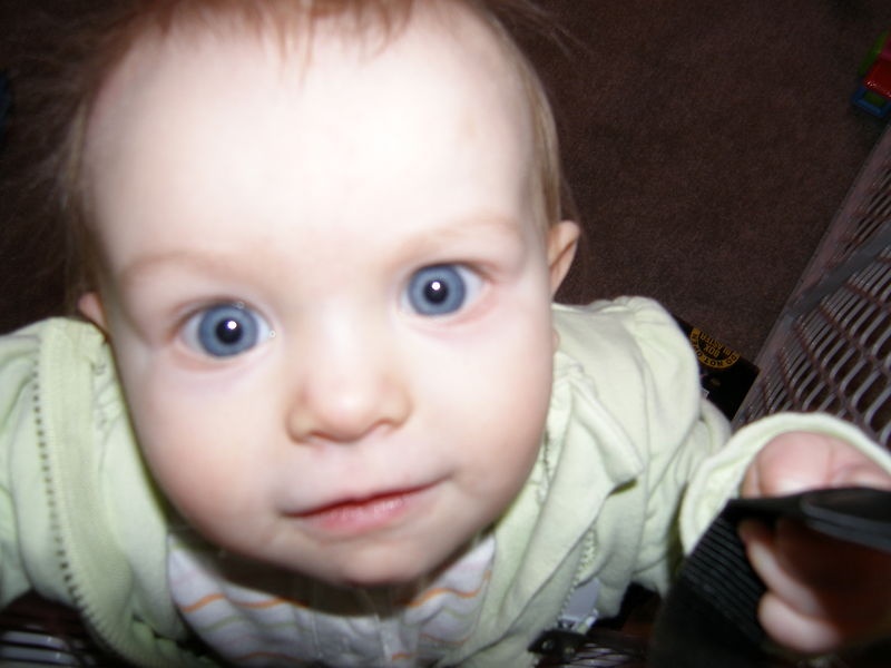 Gratuitous cuteness shot
