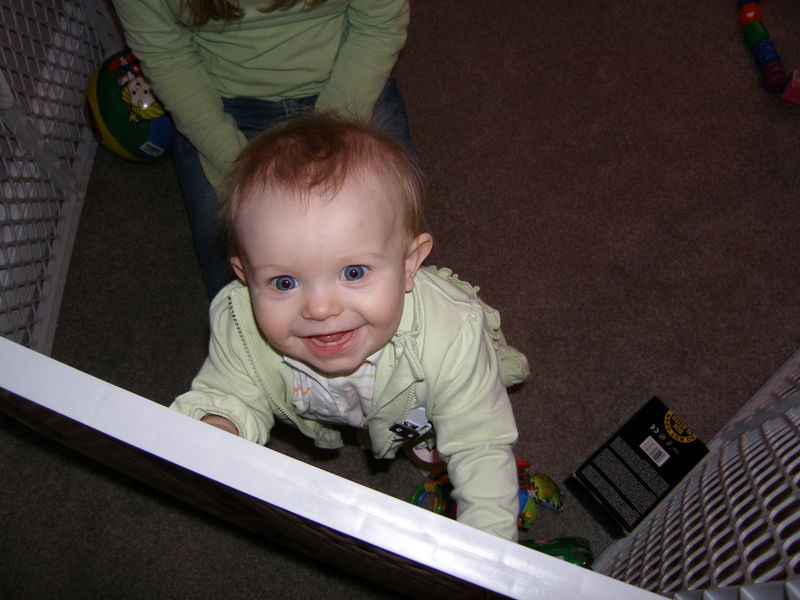 Gratuitous cuteness shot
