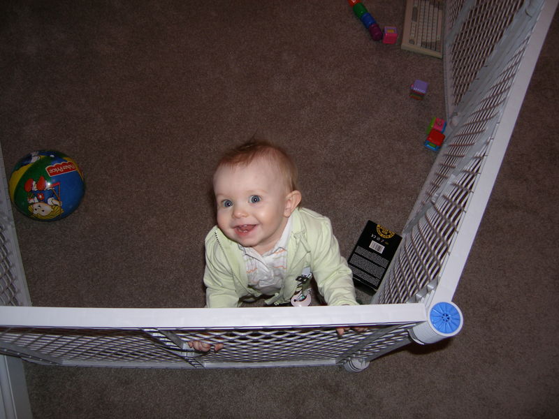 Gratuitous cuteness shot
