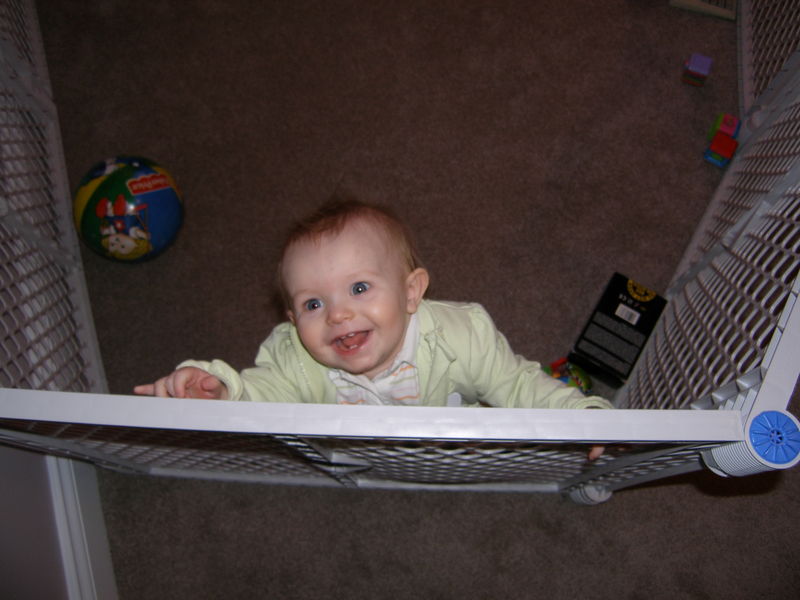 Gratuitous cuteness shot
