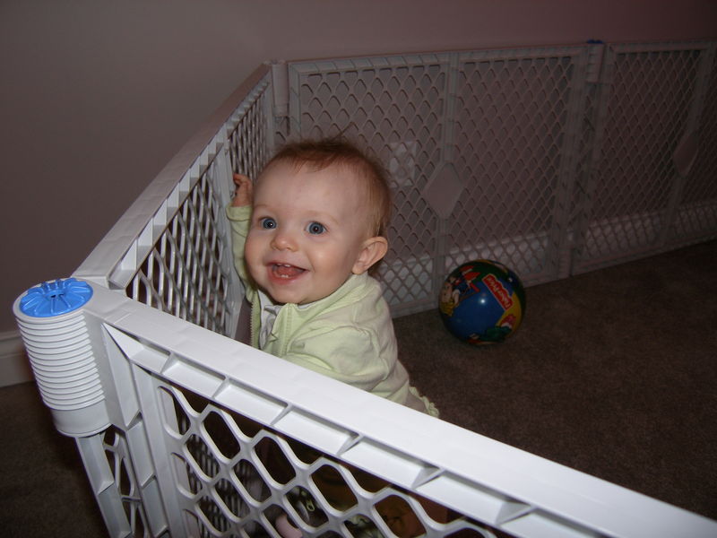 Gratuitous cuteness shot
