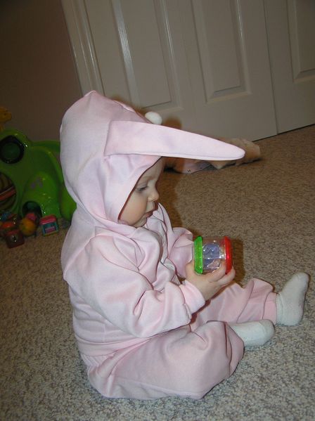 Bunny at play
