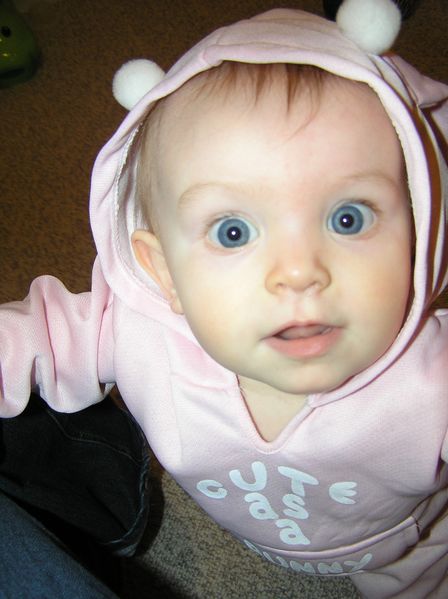 Blueberry-eyed bunny
