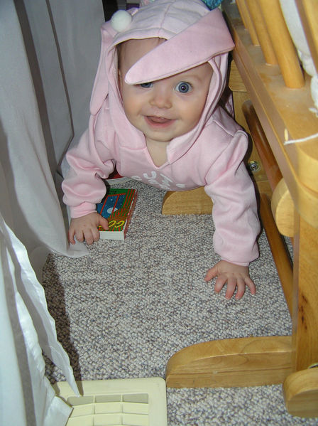 Peek-a-boo bunny
