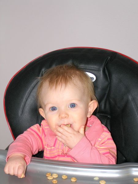 Gratuitous cuteness shot
