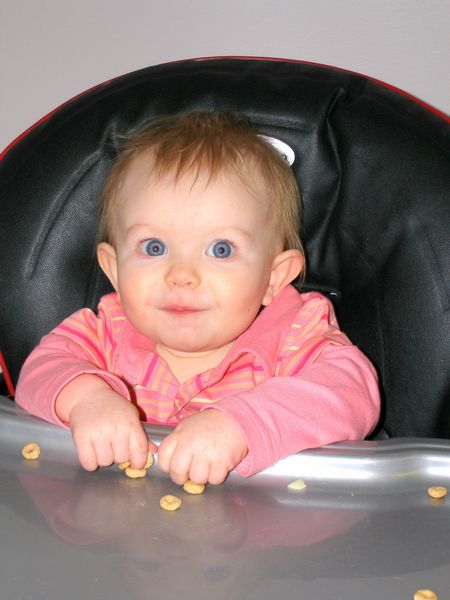 Gratuitous cuteness shot
