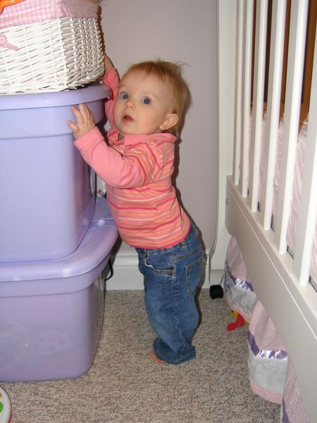 Gratuitous cuteness shot
