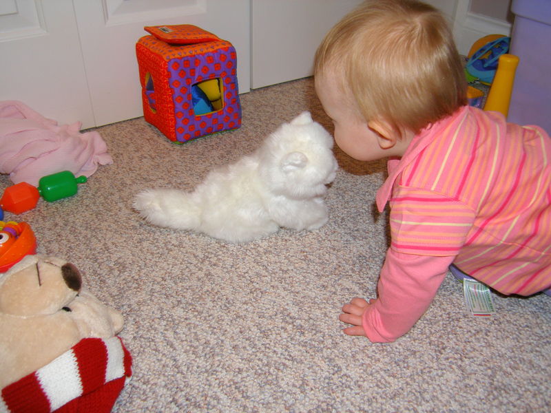 Maddi at play
