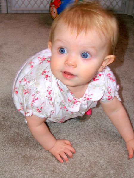 Gratuitous cuteness shot
