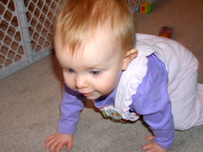 Gratuitous cuteness shot
